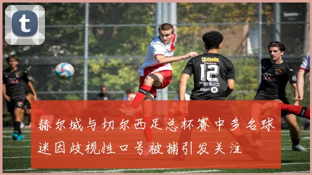 赫尔城与切尔西足总杯赛中多名球迷因歧视性口号被捕引发关注