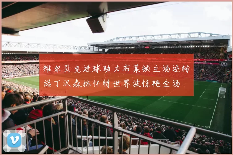 维尔贝克进球助力布莱顿主场逆转诺丁汉森林怀特世界波惊艳全场