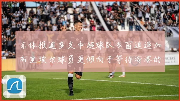 东体报道多支中超球队冬窗追逐加布里埃尔球员更倾向于等待海港的机会